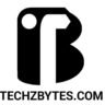 Introduction to TechzBytes