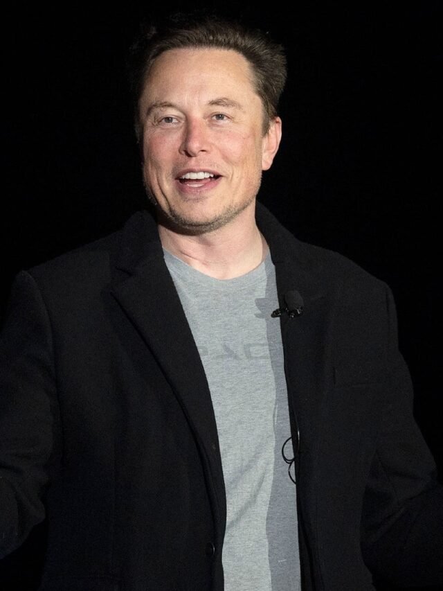 Elon musk net worth 2024